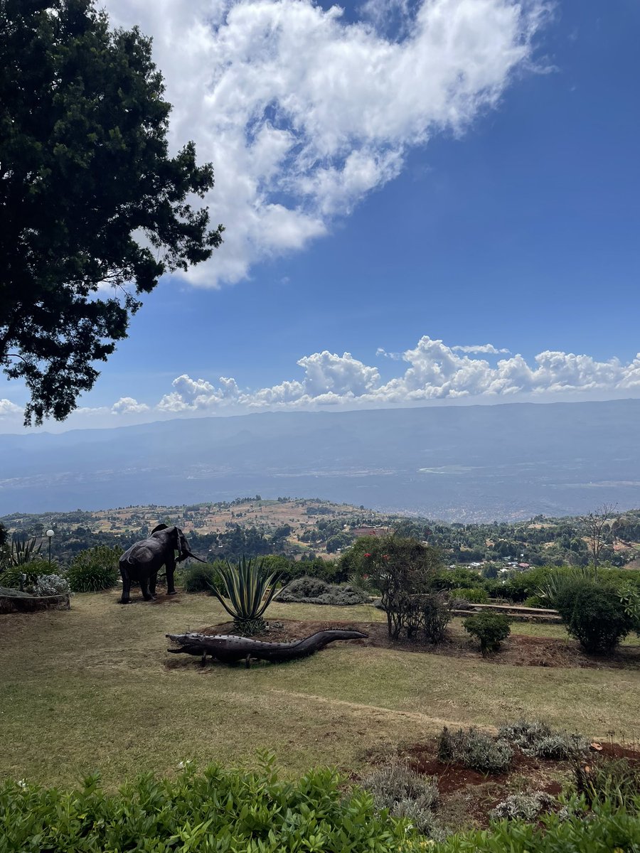 AishaZAbdu's tweet photo. So excited to be back at the Rift Valley for field work! ⛰️#DataCollection #Research https://t.co/vl8TKoDK6g