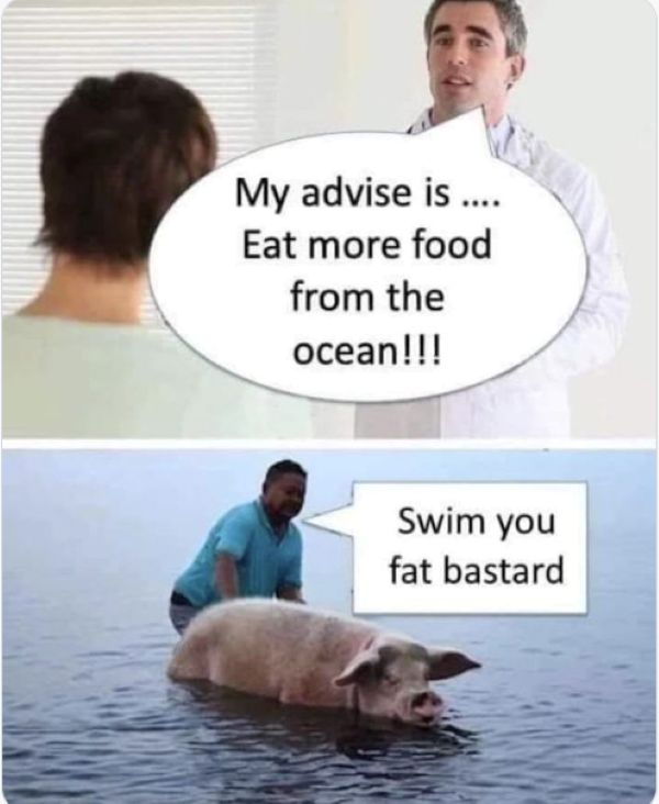TPE_PubEditor's tweet photo. Swim You Fat Bastard... https://t.co/K5nyeHpok0 https://t.co/bksnMohFFH