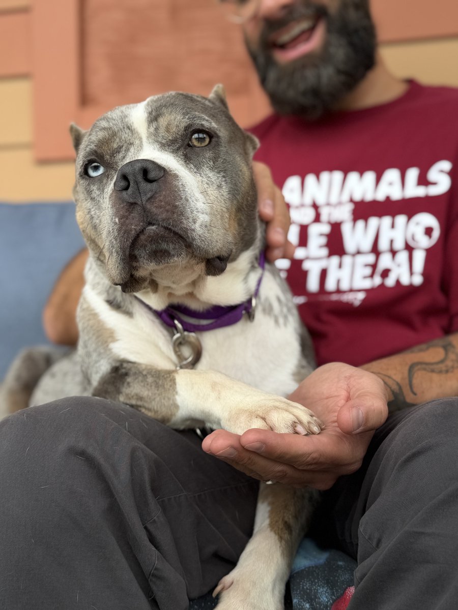 WiscHumane's tweet photo. Did you know that every donation made to our Kenosha Campus is currently being tripled by our dear friends Ted Sokoly and Nancy Toll?! ❤️❤️❤️
Donate and have your gift go 3x as far for animals and the people who love them! 📷
Give today at https://t.co/XC4hrBPsUk 👈 https://t.co/l3xyrJgn0X