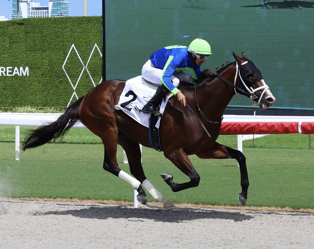 JFDAngelo's tweet photo. Ciborio • Leonel Reyes • Jose Francisco D’Angelo

#GulfstreamPark | #SunshineMeet | #HorseRacing https://t.co/QBGb2bBI7r