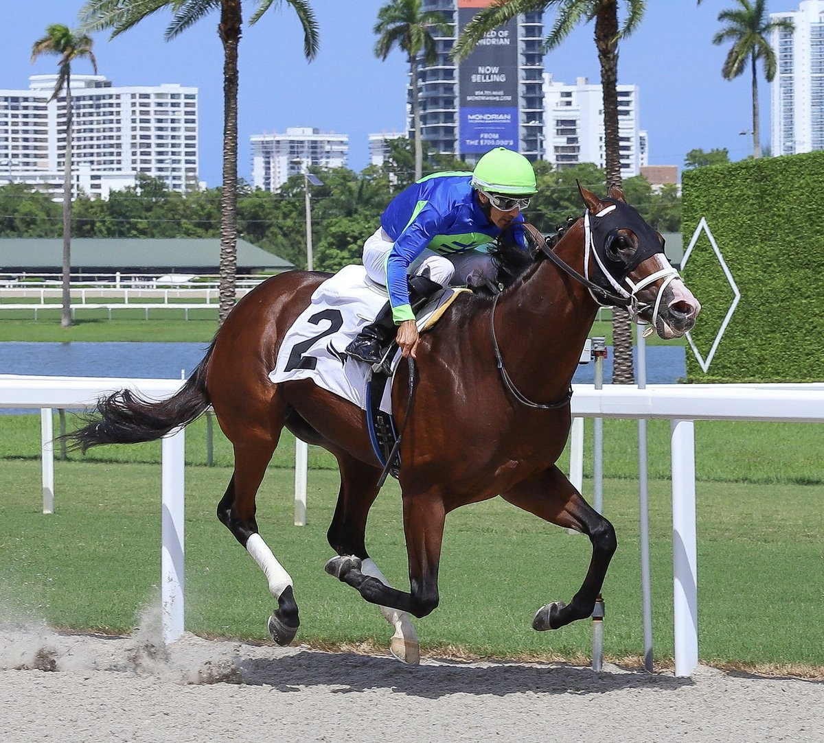 JFDAngelo's tweet photo. Ciborio • Leonel Reyes • Jose Francisco D’Angelo

#GulfstreamPark | #SunshineMeet | #HorseRacing https://t.co/QBGb2bBI7r
