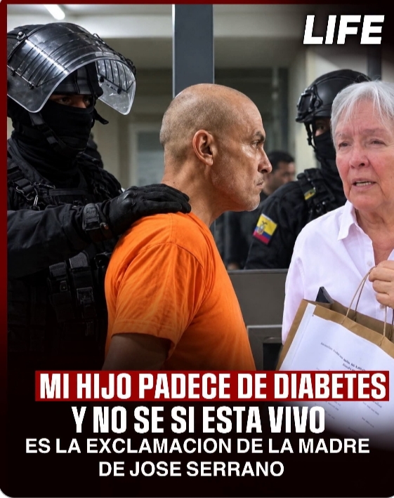 MnicaArosemena1's tweet photo. SU HIJO ESTÁ VIVO, SEÑORA!   LOS QUE NO ESTÁN VIVOS SON VILLAVICENCIO, EL GENERAL GABELA, EL PERIODISTA FAUSTO VALDIVIESO, LOS DEL 30 S Y MÁS... https://t.co/DOnbZXCWGr