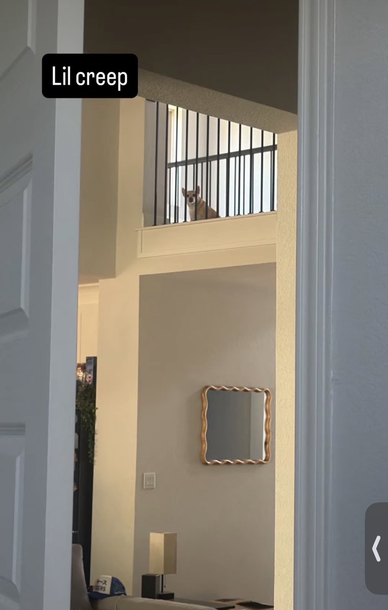 FrouseMews's tweet photo. creeper max
#FrouseMews #frouse https://t.co/ElB2t6kXUr