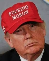 MICHAELDOLLAR's tweet photo. MORON Don Will BOMB USA & Blame IRAN Massie BITCH Mitch McConnell Natalie Harp Newsom DonJr #BlueWaveIn50Days Boris Johnson Brexit Kennedy Center #VoteBlueNoMatterWho ICE Kamala @cspanwj Melania #ETTD Kash Thomas Saudis Todd Blanche Boris #GetReadyToVoteBlue Kentucky SCOTUS https://t.co/UZgb9x9ech