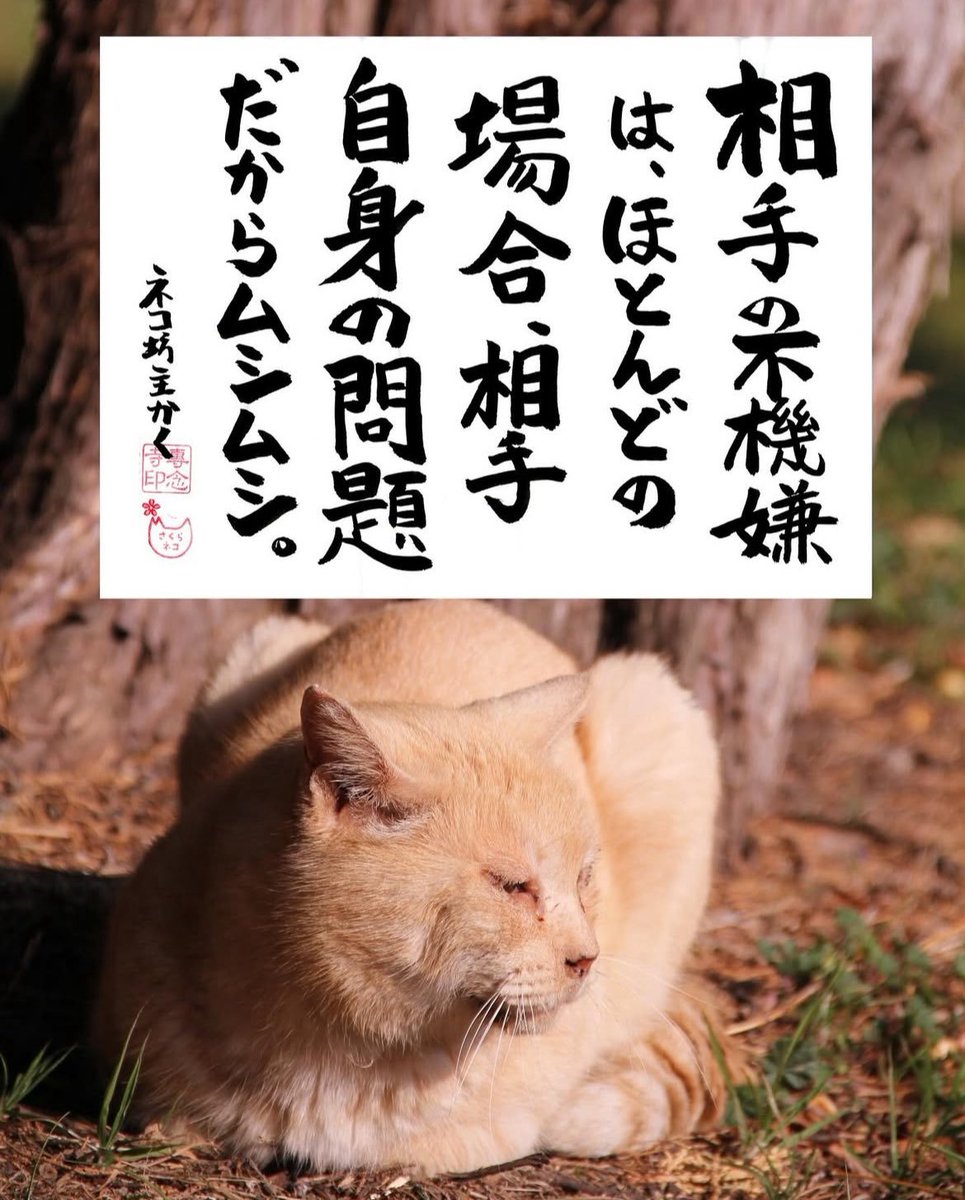 6810Kenji's tweet photo. おはようございます https://t.co/mhmIYeqfsC