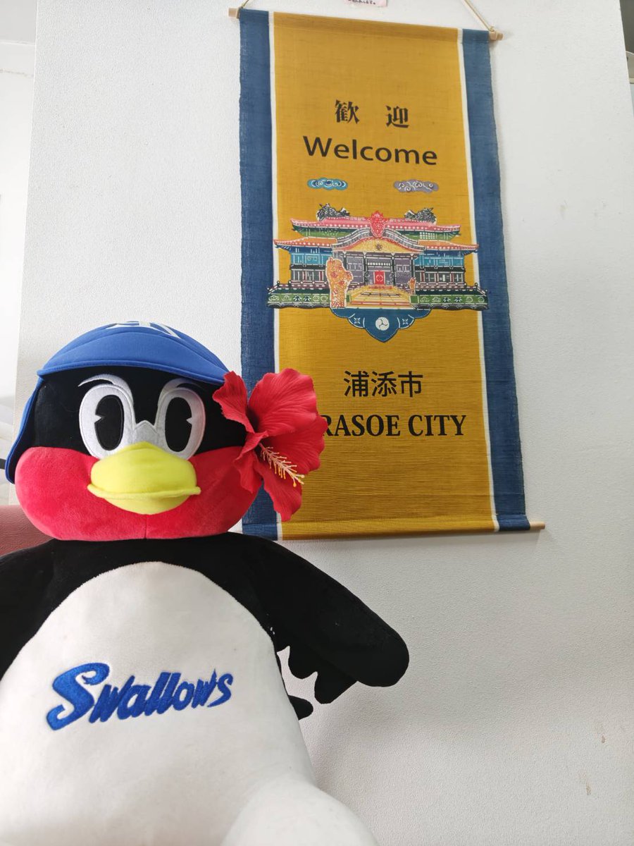 UCTA901's tweet photo. おはようございますてだモーニン🌅😎
9月も気づけば折り返し👀
まだまだ暑い浦添ですが、朝の空気に少しずつ季節の変化を感じる…ような、感じないような🤣☀️
そんな今日も浦添市観光協会OPENしています🚪
Good morning from Urasoe! 🌴
#浦添
#urasoe https://t.co/SAWImjv4nj