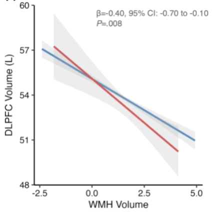 SValencia_92's tweet photo. 9/10 💡 But exploratory analyses suggested that greater disadvantage strengthened the negative association between WMH burden and frontostriatal volumes. https://t.co/B1z83SYF0z