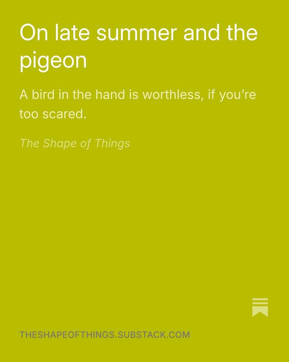 cheyennerayneb's tweet photo. new substack! I wrote about a pigeon https://t.co/xTkzZTE8Fj https://t.co/DR1npiwQPg