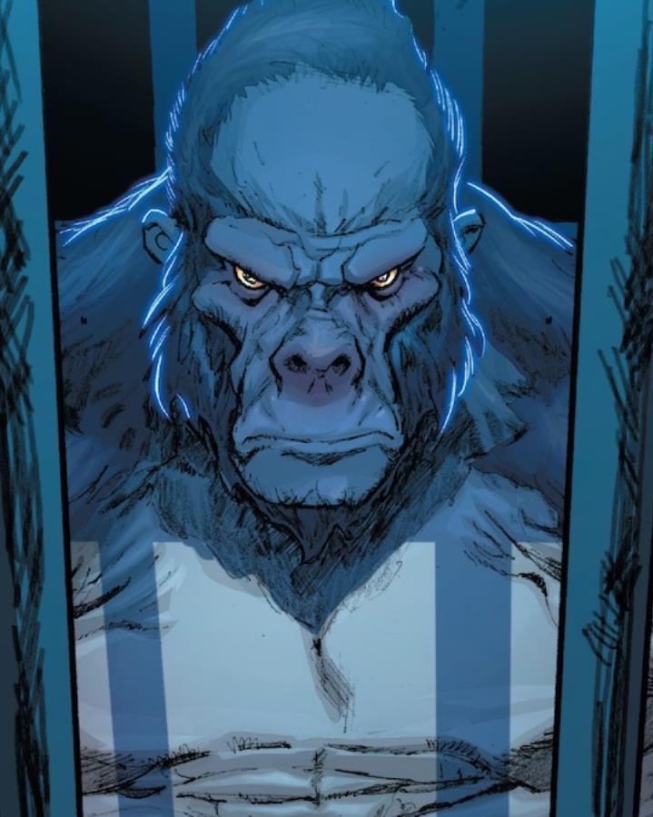 HollywoodHandle's tweet photo. ‘THE PEOPLE VS. GORILLA GRODD’ is officially the only DCU TV series that’s in active development at HBO as of now. 

(Via: Deadline) https://t.co/SOG7bv7Hkn