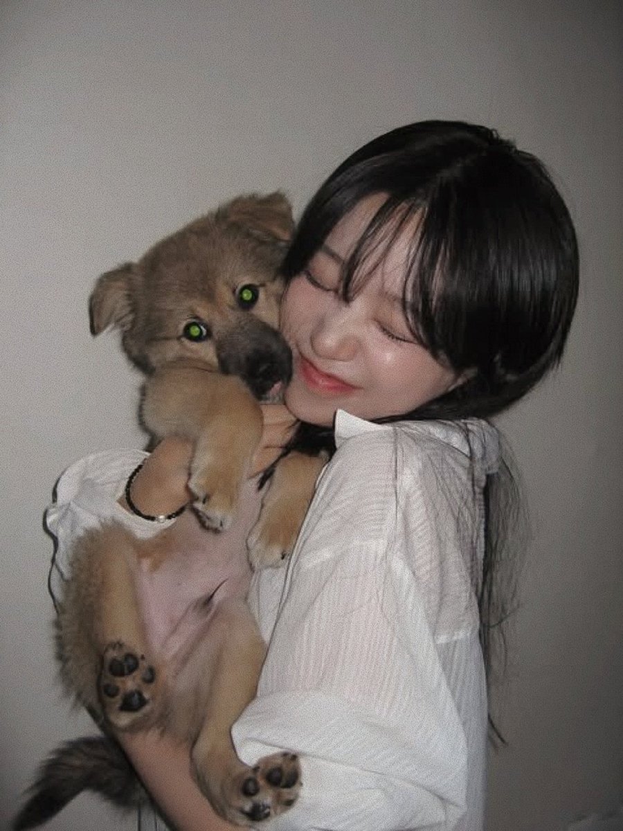 yulrangee's tweet photo. @yngb0ki ma ciao meowmeow, sei tanto tenero e fortunatissimo ad aver trovato una casa accogliente. ♥️ a vederti così credo che andresti d’accordo con la mia yona 🐈‍⬛ (e baegdo 🐶)~! https://t.co/51VqXzX9F9