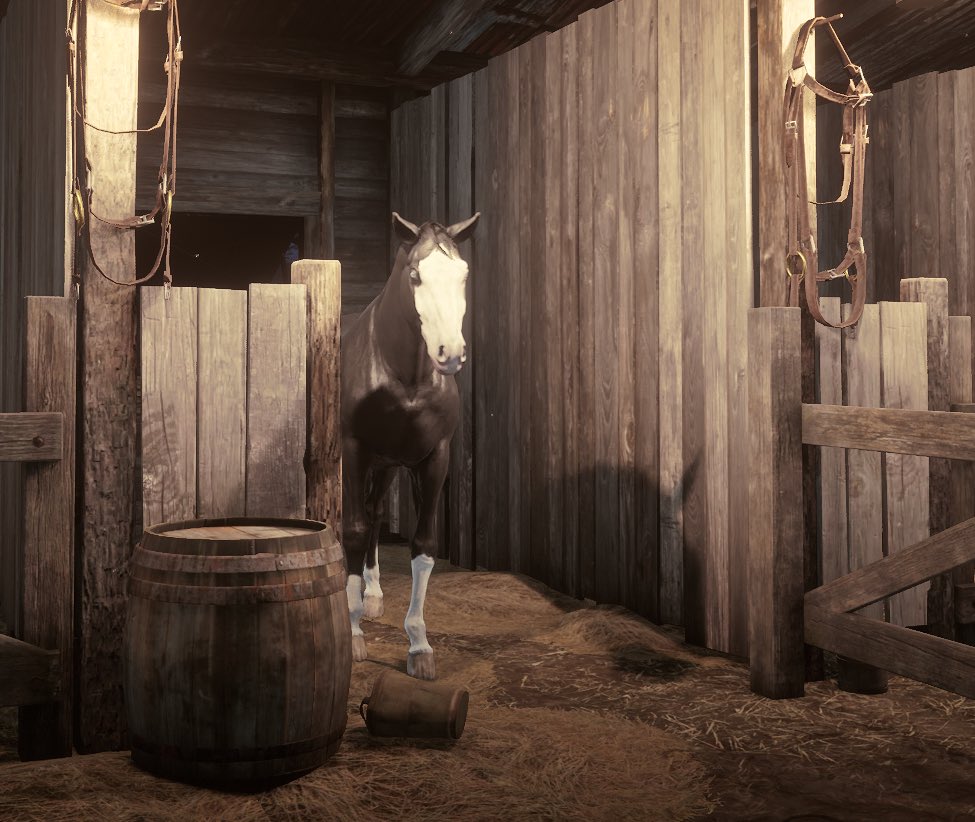baylockhorse's tweet photo. Stable reveal https://t.co/tFKJrogkO1