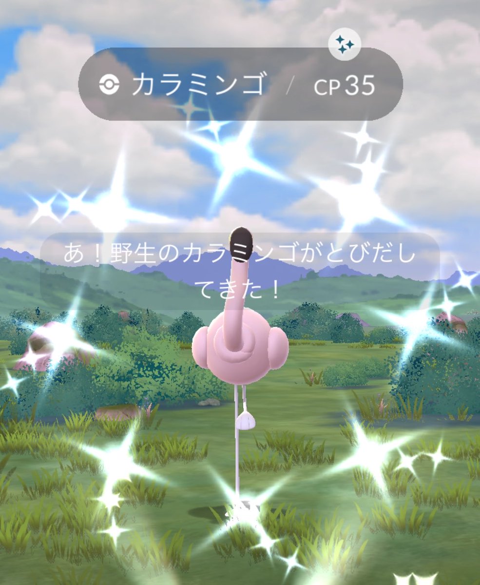 8i601's tweet photo. チームメガイベントお疲れさまでした🦩
カラミンゴは絶好調で100も色違いも無事ゲット出来たけども…オラチフの100は出ず🥺 ひとまず5kmから狙いますかね…笑 https://t.co/5dsIqMlnOU