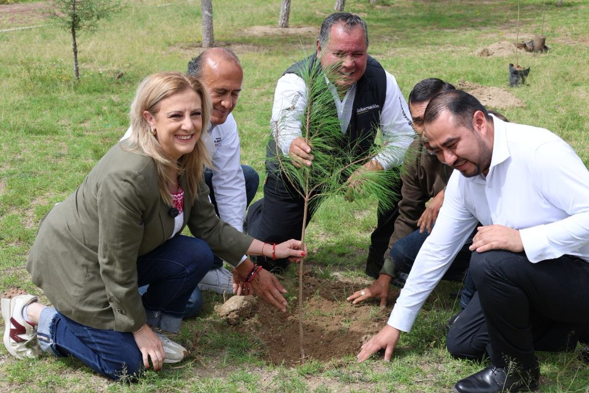 AmbienteGobPue's tweet photo. #BOLETÍN 📸📰 |  El gobierno que encabeza @armentapuebla_, a través de esta Secretaría, entregó más de 274 mil plantas para reforestar esta microrregión, conformada por los municipios de Chilchotla, Guadalupe Victoria, Lafragua,  Ocotepec, Tepeyahualco, Tlachichuca, Xiutetelco y Libres.

Al respecto, la titular @Marilyn_Balle destacó que con la entrega de plantas para incrementar la densidad forestal en la entidad, se recargan los mantos acuíferos y reduce la amenaza a la regulación hídrica que generan la deforestación y la degradación del suelo.

🌐 https://t.co/3qNnPGIbMi