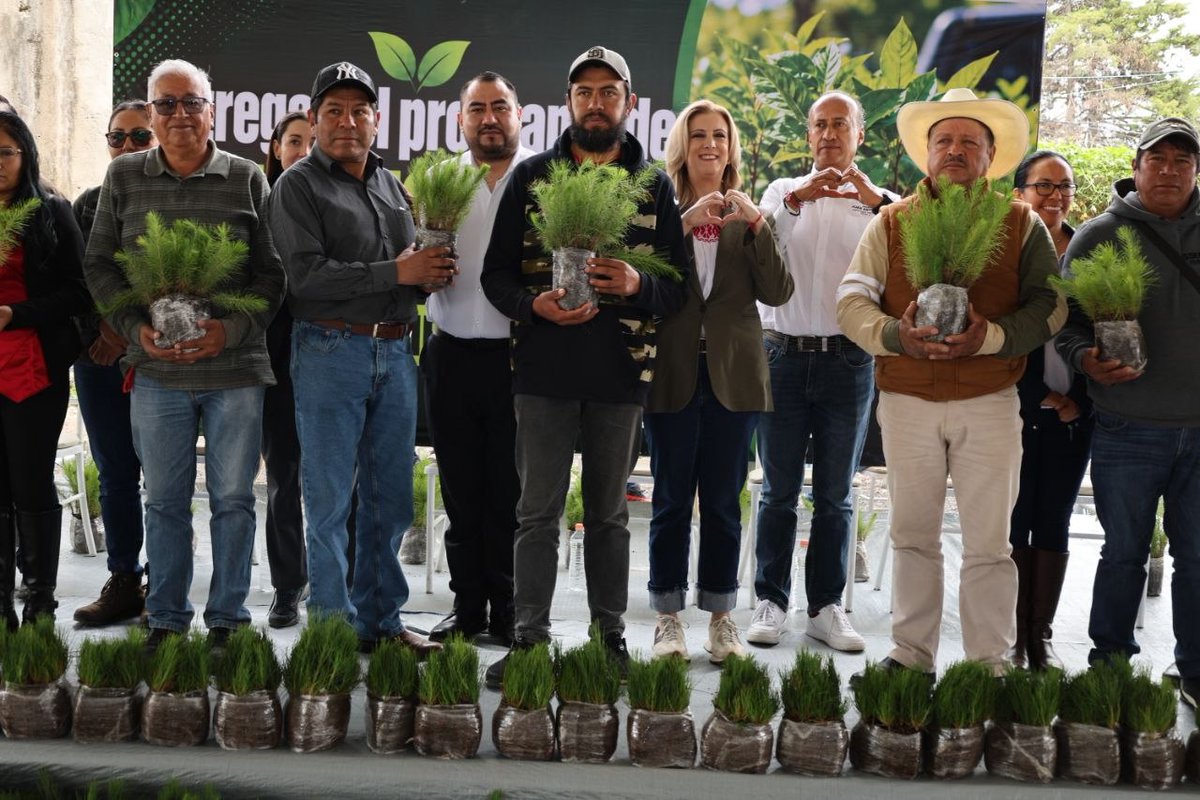 AmbienteGobPue's tweet photo. #BOLETÍN 📸📰 |  El gobierno que encabeza @armentapuebla_, a través de esta Secretaría, entregó más de 274 mil plantas para reforestar esta microrregión, conformada por los municipios de Chilchotla, Guadalupe Victoria, Lafragua,  Ocotepec, Tepeyahualco, Tlachichuca, Xiutetelco y Libres.

Al respecto, la titular @Marilyn_Balle destacó que con la entrega de plantas para incrementar la densidad forestal en la entidad, se recargan los mantos acuíferos y reduce la amenaza a la regulación hídrica que generan la deforestación y la degradación del suelo.

🌐 https://t.co/3qNnPGIbMi