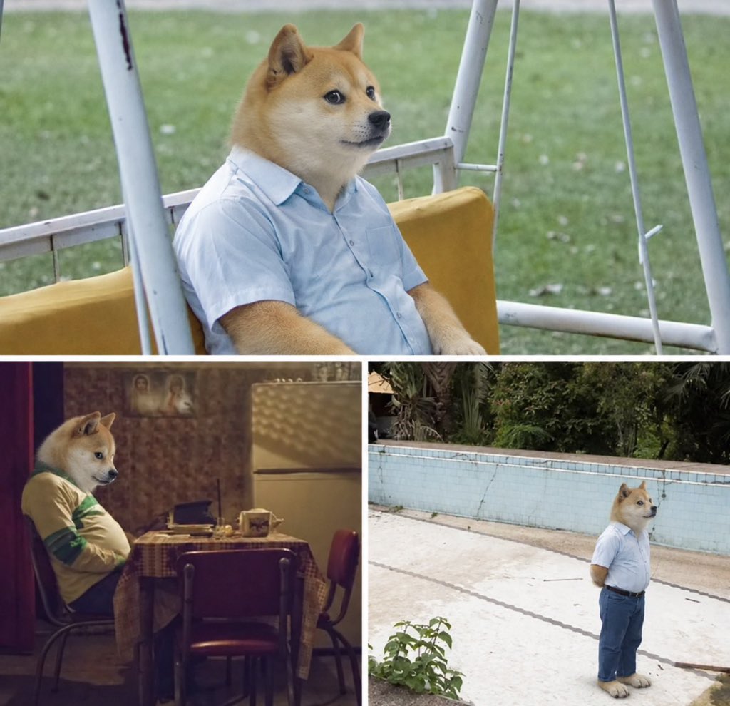 dogeofficialceo's tweet photo. Waiting for the Crypto Clarity Act to pass https://t.co/QcbbnpuS6l