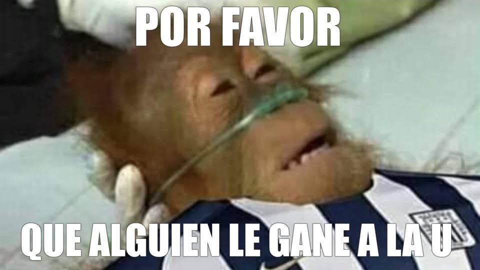 JoseRValverde's tweet photo. @halohahyo72234 Fecal, cuál final? Asi como van, Universitario y Melgar los vamos a pasar en el acumulado. Ahí los quiero ver, 🤣🤣🤣🤣🤣🤣🤣🤣🤣🤣🤣🤣 https://t.co/qnbmnTqKpN