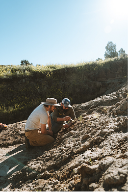 visitmontana's tweet photo. The Carter County Museum was first established in 1936. But today, fossils are still being excavated nearby and 90 million years of history are still being shared at the museum. 

#MontanaMoment #Dinosaurs #CarterCountyMuseum https://t.co/PzmmoYgont