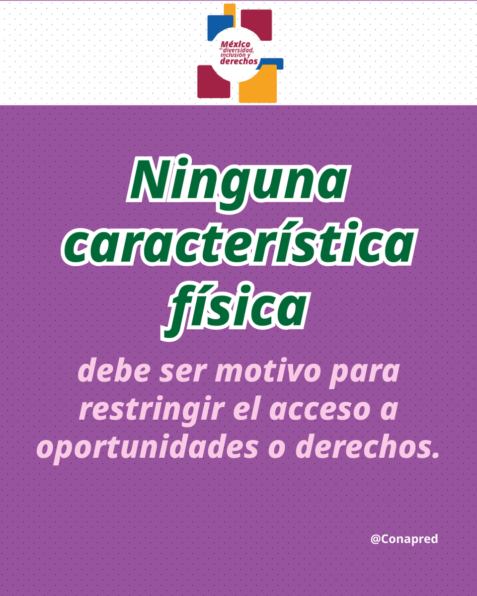 CONAPRED's tweet photo. Reconozcamos la diversidad. Todos los derechos para todas las personas. 

#DiversidadCorporal https://t.co/Ty1DKvapg2