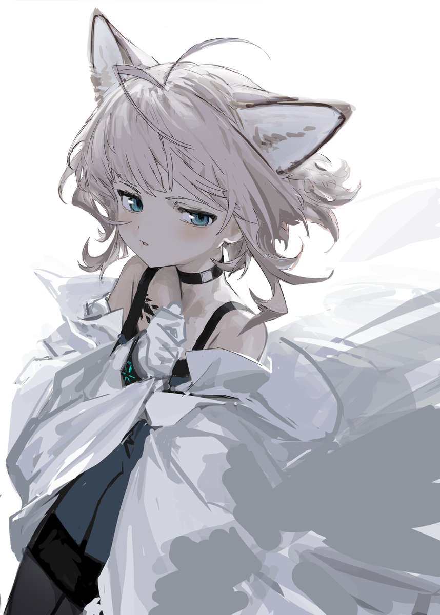 yamori_no_o's tweet photo. https://t.co/ENojYfbLpd