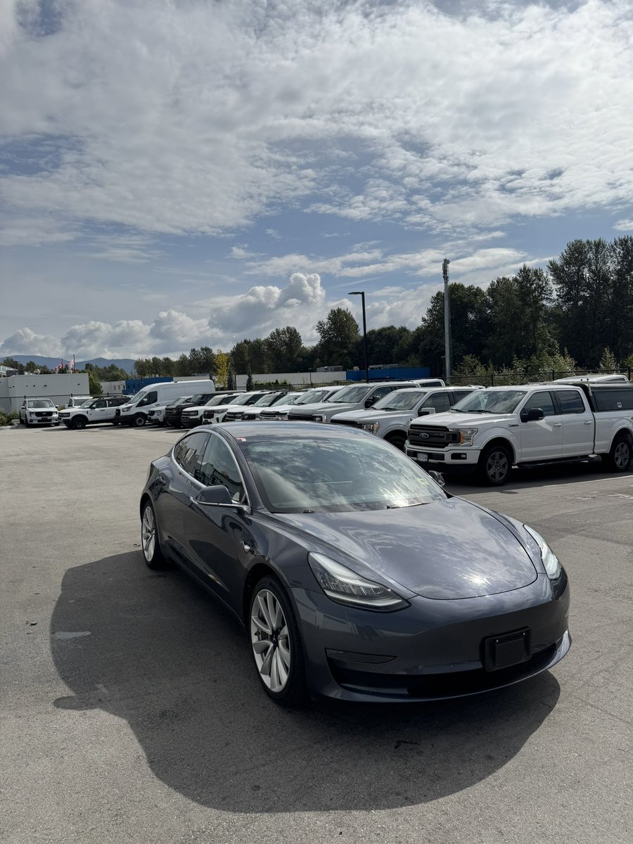 CarsbySamArya's tweet photo. 2019 Tesla Model 3 Long Range AWD - $26,998

#carsbysamarya #rivervalleyford #tesla #teslamodel3 #longrangetesla https://t.co/CybyDCk3X9