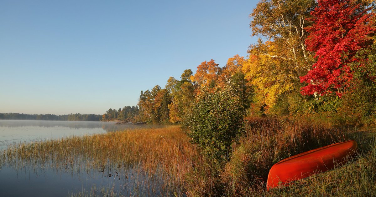 red canoe resting on forested lake shoreline
