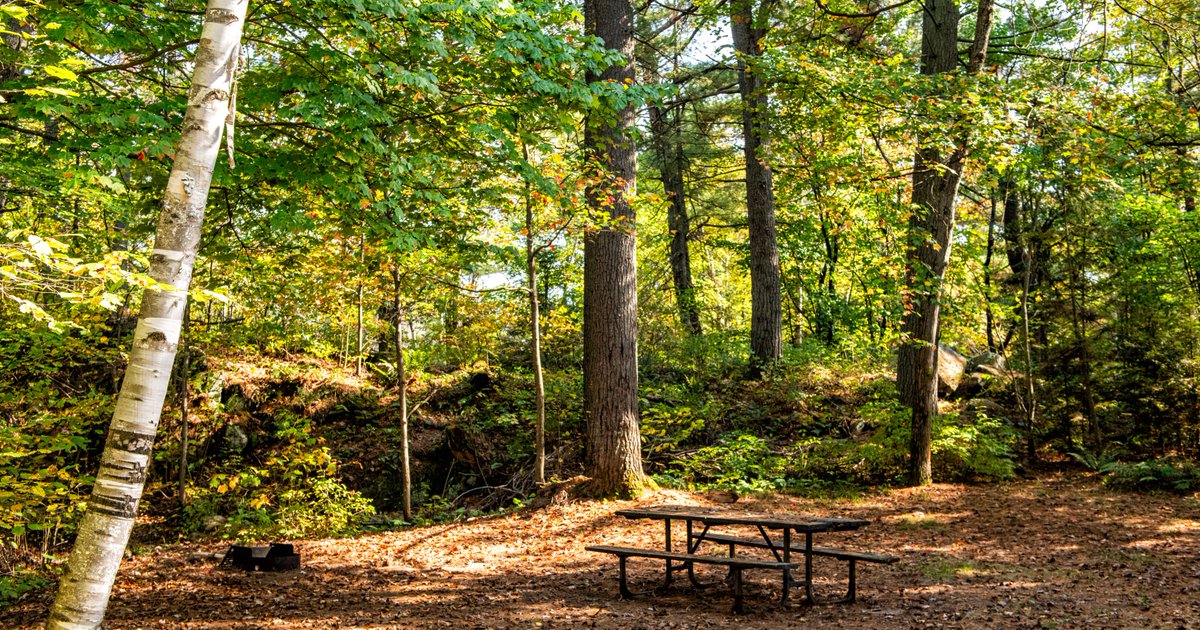 campsite with picnic table and firepit