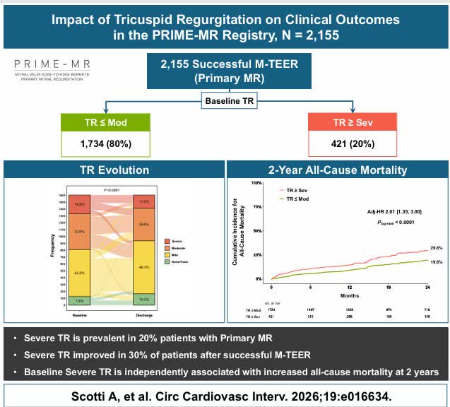 CircIntv's tweet photo. What happens to TR following M-TEER? Impact of Tricuspid Regurgitation on Outcomes after Transcatheter Edge-to-Edge Repair for Primary Mitral Regurgitation: The PRIME-MR Registry @AndreaScotti21 @azeemlatib @AugustinCoisne @modine_thomas @jgranadacrf
https://t.co/g7Tn5MHJay https://t.co/s6SE6N1ppq