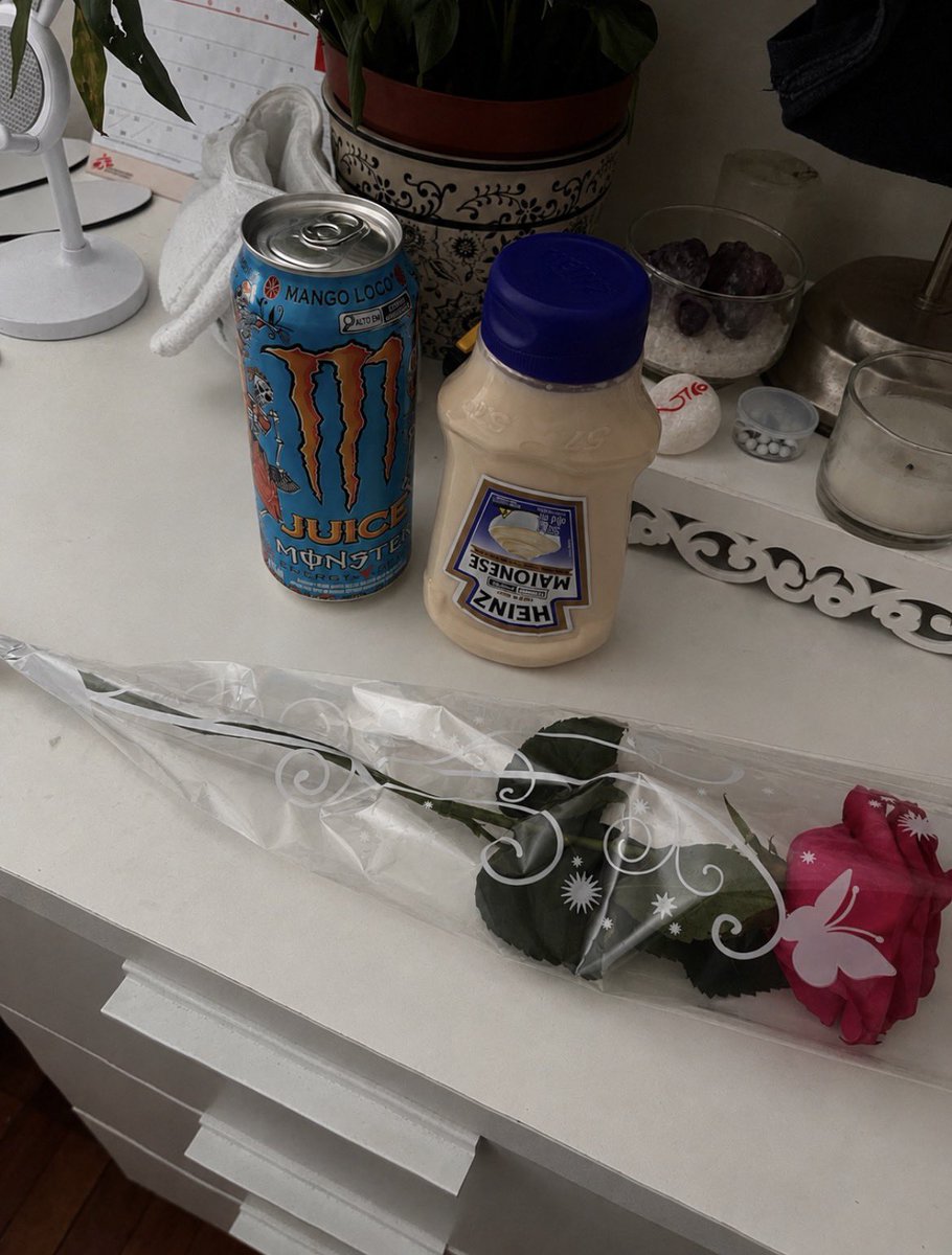 mitskizinha's tweet photo. meu presente de aniversário de namoro foi uma rosa um monster e uma maionese heinz to curada https://t.co/RcUUYFDhJA