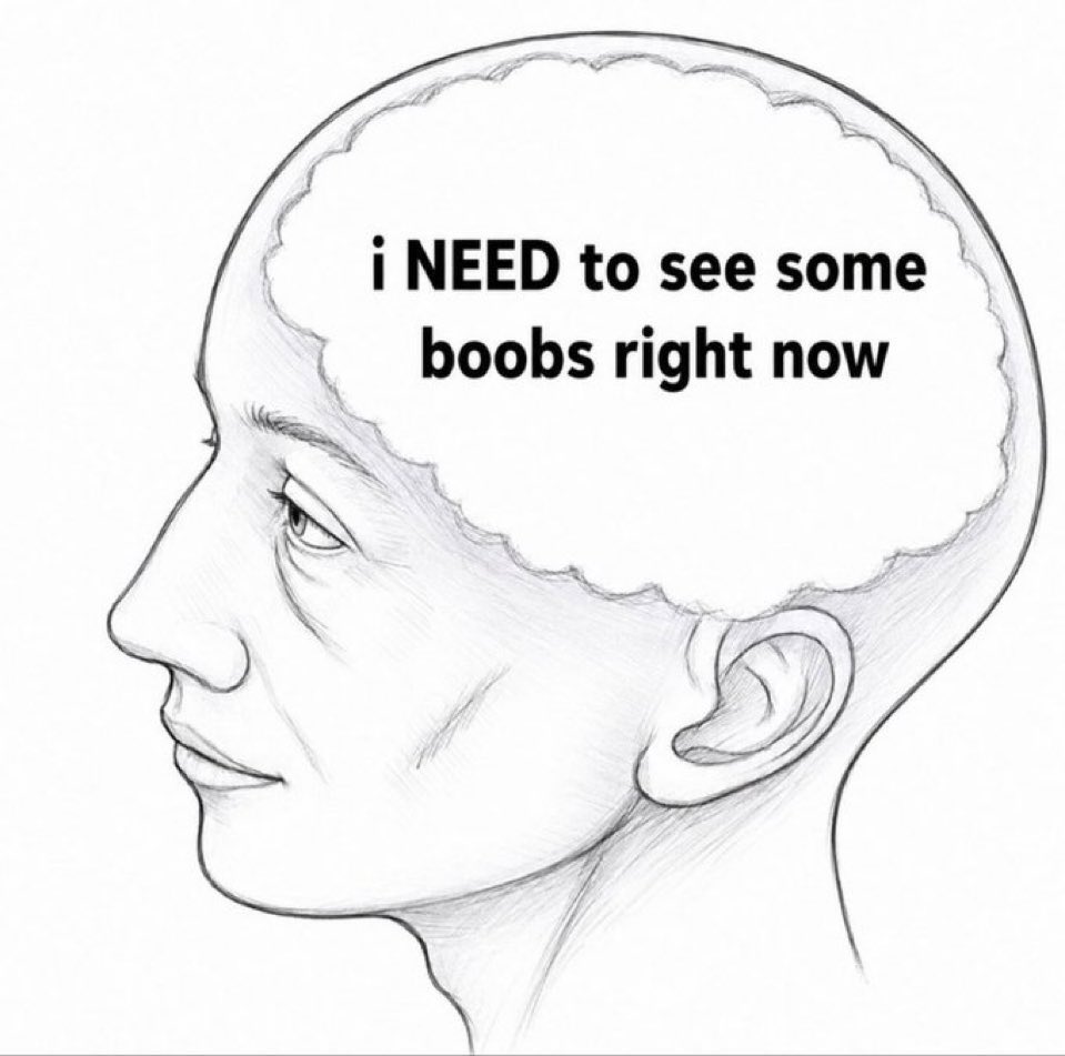 Petervcyx's tweet photo. #bigboobs #smallboobs #bigtits #smalltits #nsfwtwt https://t.co/q1sWDLRAkl