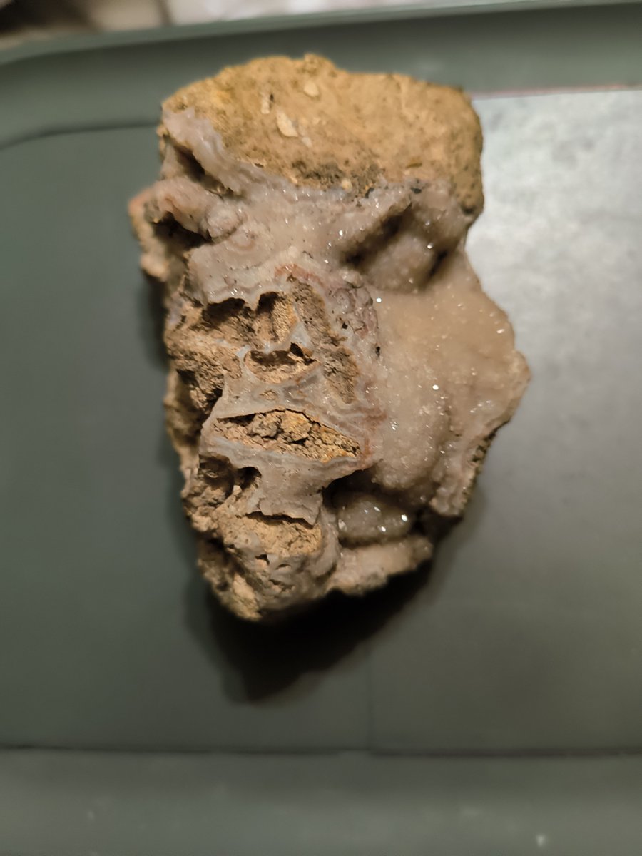 JohnManleymrw's tweet photo. A one of a kind fossil that I would only sell for 5 million bucks 
@elonmusk https://t.co/oVNCWYceSK