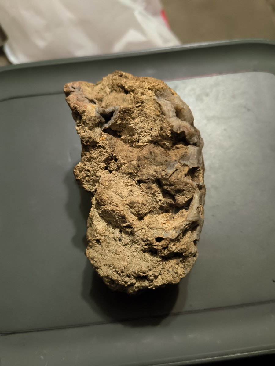 JohnManleymrw's tweet photo. A one of a kind fossil that I would only sell for 5 million bucks 
@elonmusk https://t.co/oVNCWYceSK