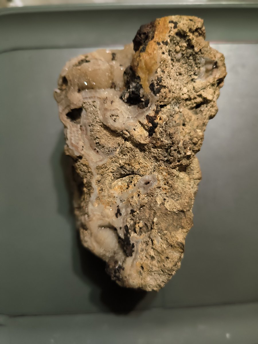 JohnManleymrw's tweet photo. A one of a kind fossil that I would only sell for 5 million bucks 
@elonmusk https://t.co/oVNCWYceSK