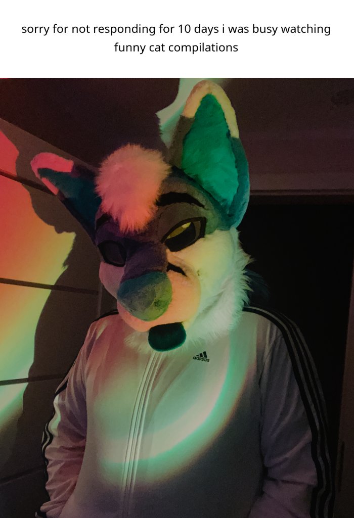 aisonfusky's tweet photo. 😼 https://t.co/6EUAFoOEYt