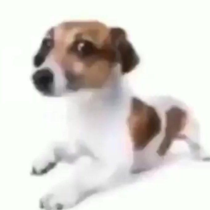 studiesolive's tweet photo. Acabei de me inscrever no vestibular da UNEB https://t.co/t9di5GXMjk