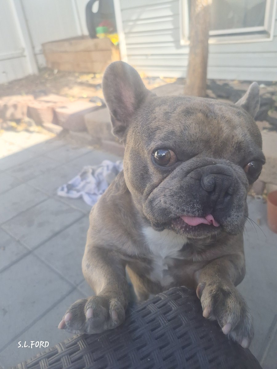 Ford_Shane7576's tweet photo. Am I still a cutie? https://t.co/Dv9wJBynPL