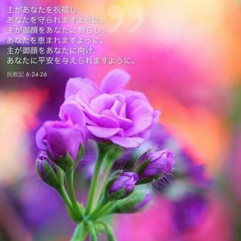 Seonny2's tweet photo. 主があなたを祝福し、
あなたを守られますように。
主が御顔をあなたに照らし、
あなたを恵まれますように。
主が御顔をあなたに向け、
あなたに平安を与えられますように。 https://t.co/NNx6T6h7bw