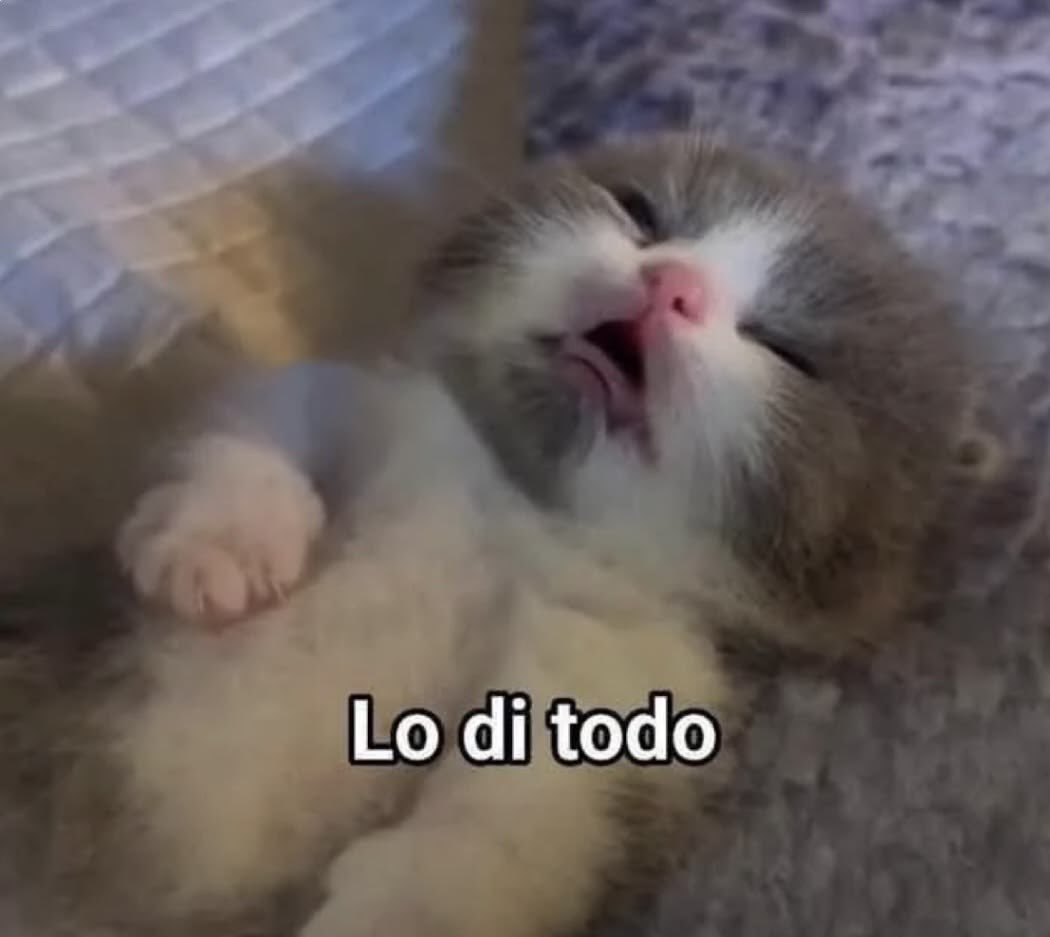 Me3ll__'s tweet photo. Sobreviví a este martes laboral https://t.co/6fUJ2GbZO1