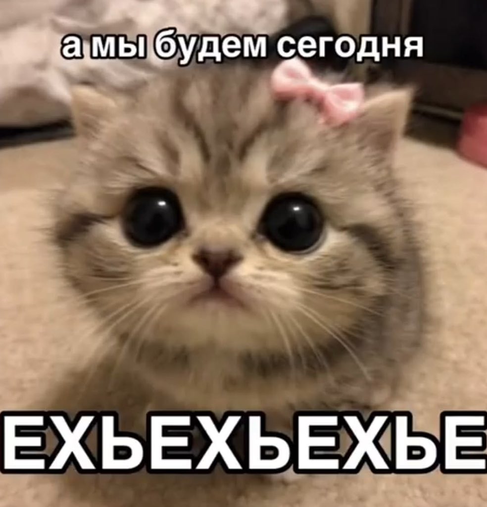 YourHighessEva's tweet photo. https://t.co/z5iZyIiLYC
