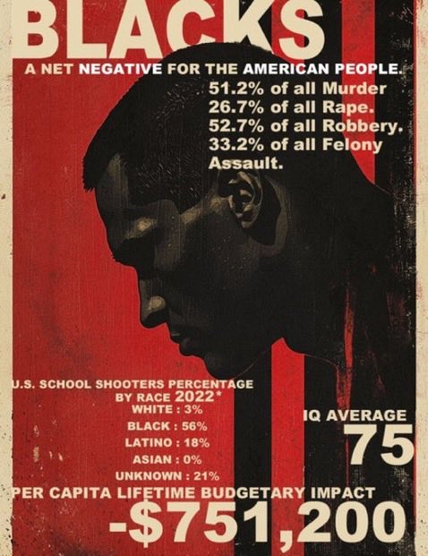 WhitesDoMatter_'s tweet photo. @TheCagedBirdz @MEAT442 @andrewilliamsus Get a job, nigger. https://t.co/zatbc6wGZg