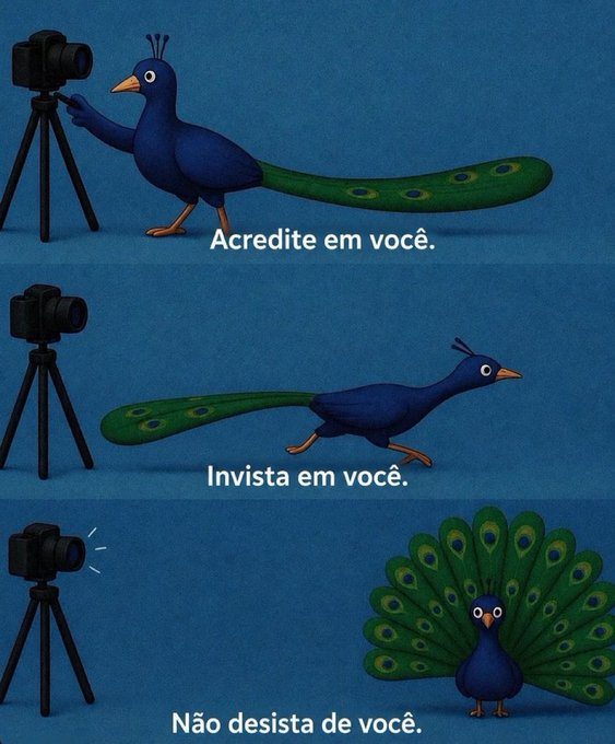 UmFilosofoCitou's tweet photo. https://t.co/OwHLoJOnrN