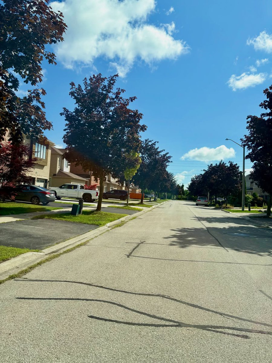 JennyLetsovlej's tweet photo. Exploring the maple land... https://t.co/J4p7xV6tMg