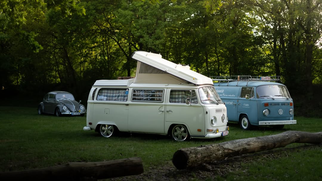 KinaBoulware's tweet photo. No showgrounds. No spotlights. Just three VWs, one evening, and the right light—that’s all it takes. Westfalia. Bauknecht. Beetle. Wolfsburg would be proud. https://t.co/hBQuSWYanP