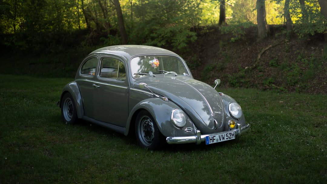 KinaBoulware's tweet photo. No showgrounds. No spotlights. Just three VWs, one evening, and the right light—that’s all it takes. Westfalia. Bauknecht. Beetle. Wolfsburg would be proud. https://t.co/hBQuSWYanP