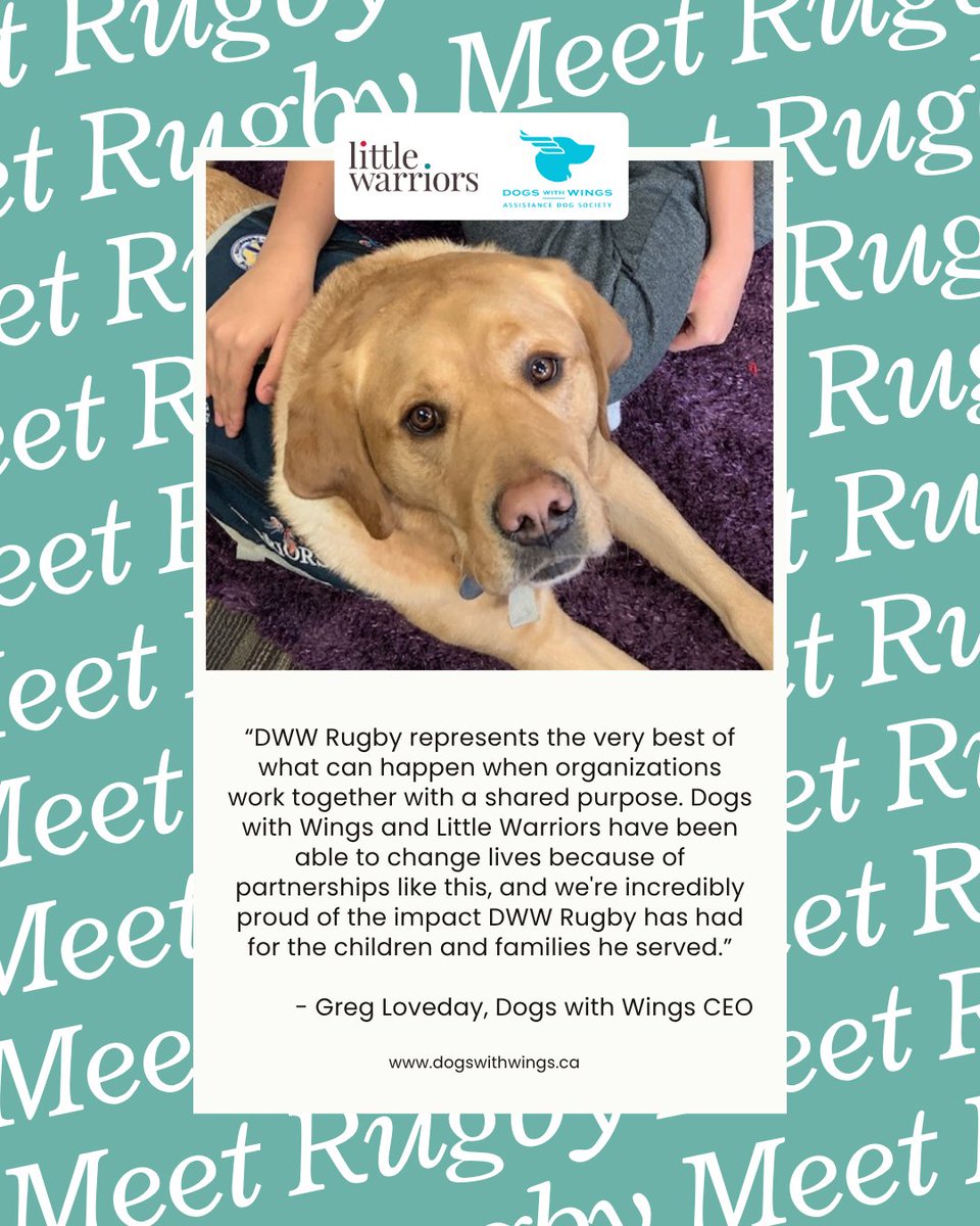 LittleWarriors's tweet photo. DWW Rugby is proof of what two organizations can build together. Trained by Dogs with Wings Assistance Dog Society and placed with Little Warriors, he's spent his career as a bridge between two missions.
 
Give today, https://t.co/rRECs2d4Cr. https://t.co/mQey3g7KFD