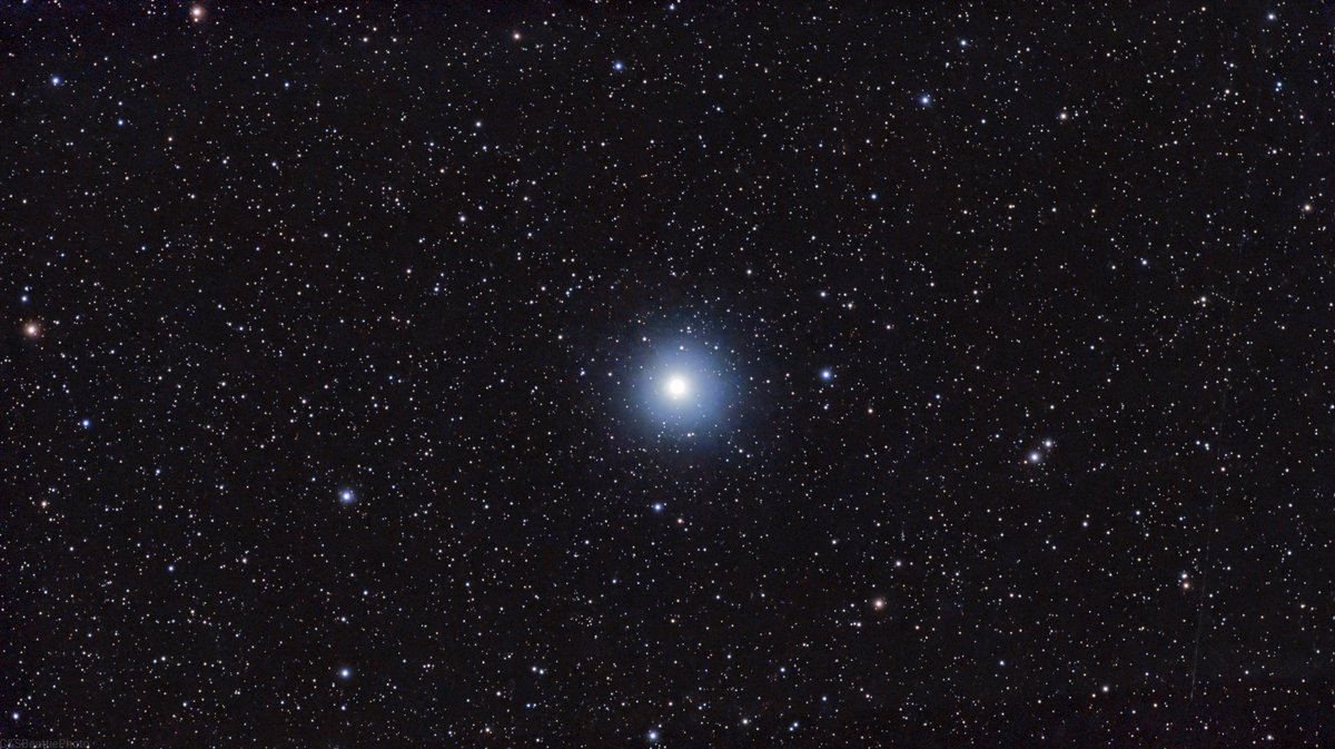 CSBeattiePhoto's tweet photo. Meet Vega—the dazzling blue-white diamond of the northern summer sky! ✨
​Cosmic Neighbor: Located just 25 light-years away in the constellation Lyra.
​History & Future: It served as Earth's North Star around 12,000 BCE and will claim the title again around the year 13,727!
​Speed Demon: Vega spins so fast (274 km/s) that it bulges significantly at the equator.
Captured in deep space, the photons' journey began 25 years ago—meaning the light hitting the sensor left Vega back in 2001! 
​#Vega #Astronomy #Astrophotography #Stargazing #Space #NightSky