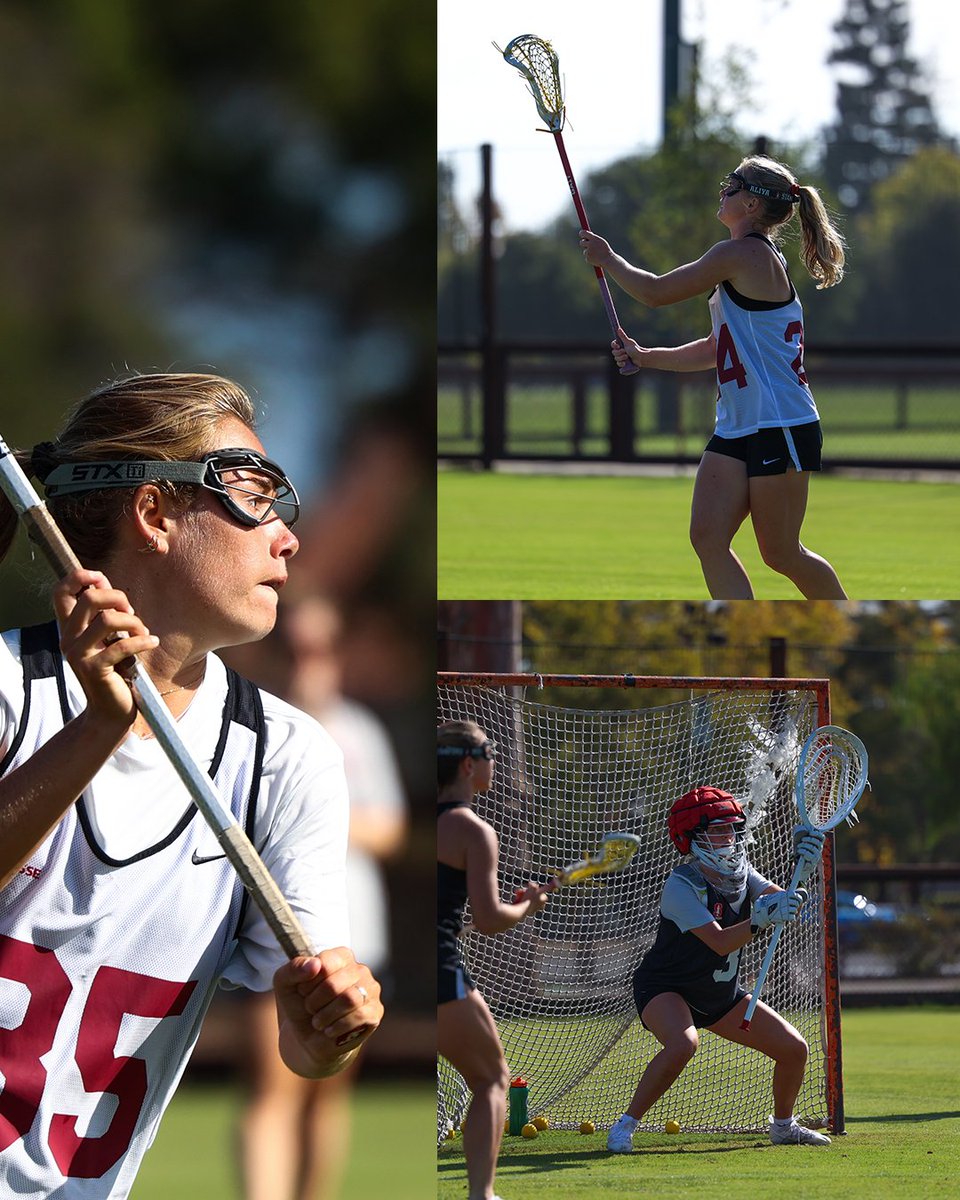 StanfordWLax's tweet photo. we're back.

#GoStanford x #Together https://t.co/2Bari6wup6