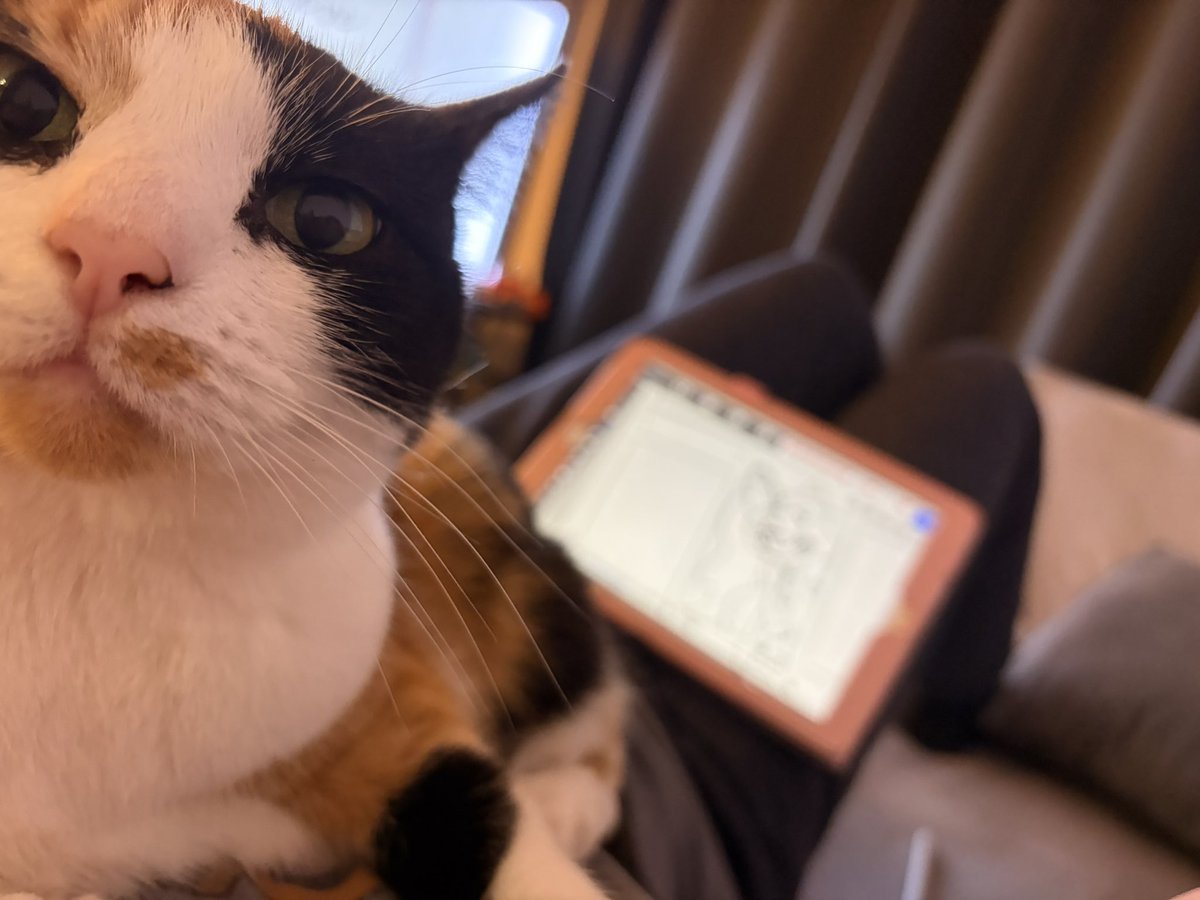 _scrimpyy_'s tweet photo. Thank you everyone who commented and participated on my recent post!! And welcome new followers :))

I’m currently working on the drawings if my cat wouldn’t get in the way… https://t.co/rlehtZfxJP
