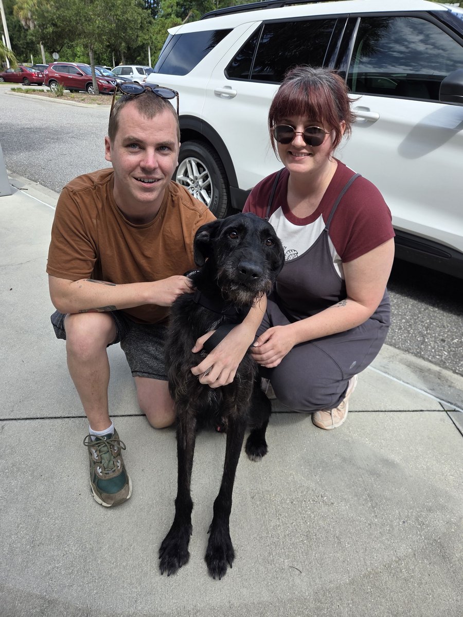jaxhumane's tweet photo. What a wonderful weekend of adoptions! 🧡💚 

So many dogs and cats headed home with their new families! Running until Sept. 20, all adoption fees will be $25!* 🐾 To view all of our available pets, visit https://t.co/7Nn2ZE9gmF. 

*Additional fees may apply. https://t.co/4A4MlcEFD7