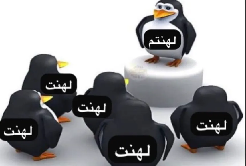 S7_Moataz's tweet photo. البث الجاي عبدالصمد مع كل شخصيات ابوسويحل بالمصحة https://t.co/JdRCjMXei7