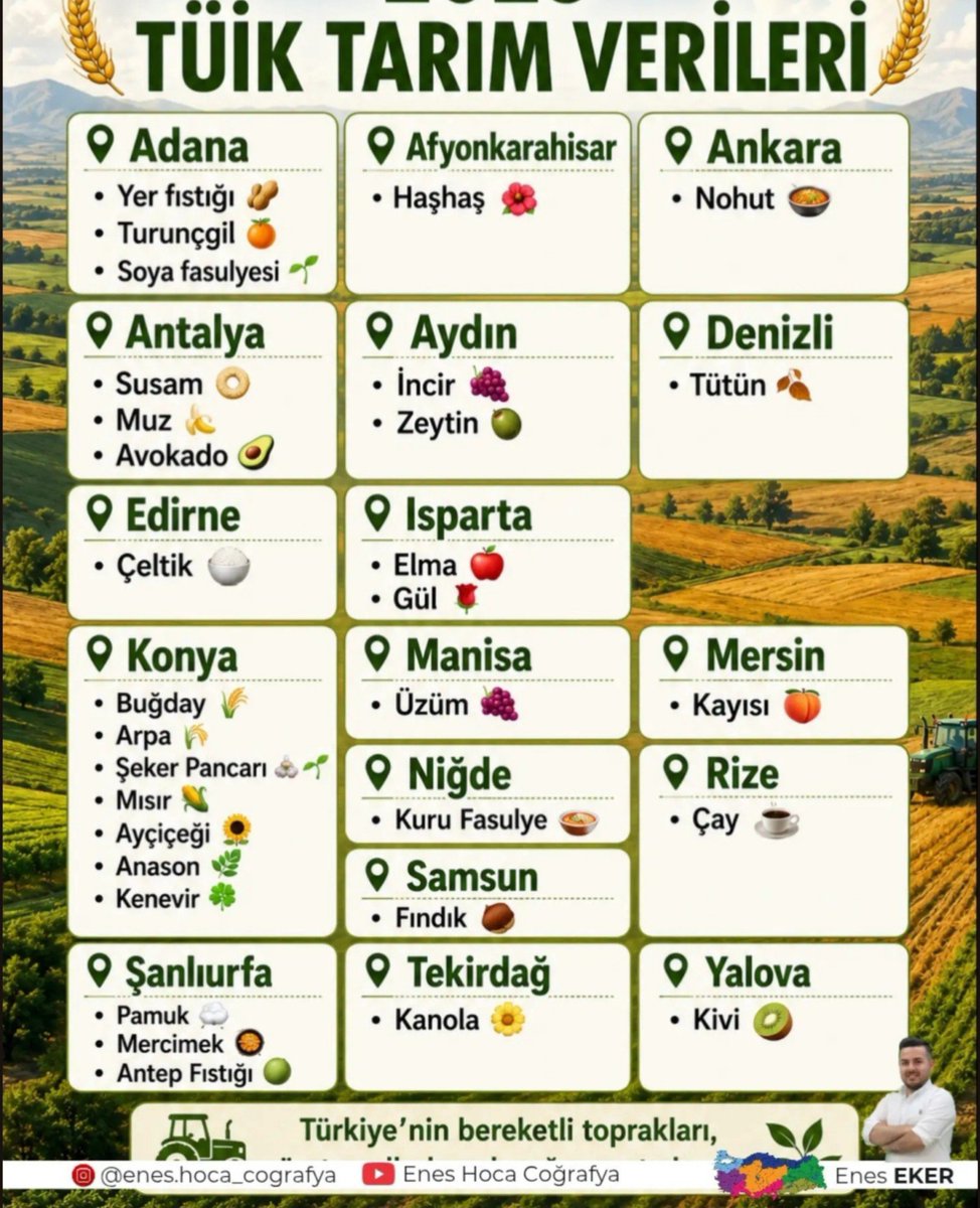 huzurlusefa's tweet photo. Cevap; SAMSUN 🩶
Diğer verileri inceleyebilirsiniz. https://t.co/Em6vV92bXo